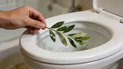 Zašto iskusne kućanice stavljaju lovorov list u WC na cijeli dan: zanimljiv životni trik koji malo ljudi zna